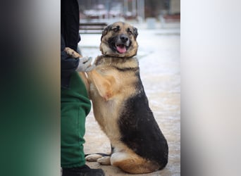 Ilana wartet schon viele Jahre auf ein Zuhause