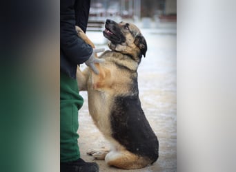 Ilana wartet schon viele Jahre auf ein Zuhause