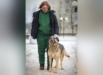 Ilana wartet schon viele Jahre auf ein Zuhause