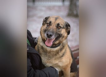 Ilana wartet schon viele Jahre auf ein Zuhause