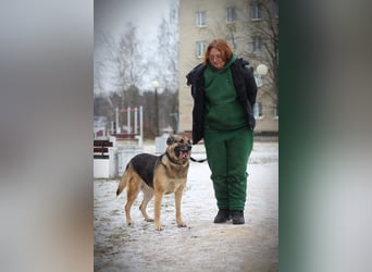 Ilana wartet schon viele Jahre auf ein Zuhause