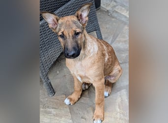Kleiner Claude wartet auf seine Familie