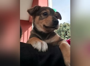 MOMO möchte noch groß und stark werden
