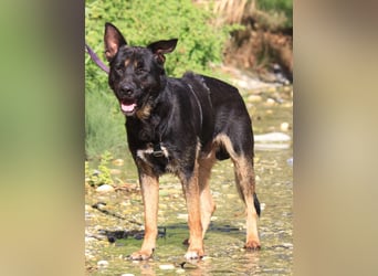 Poolboy sucht seinen eigenen Pool