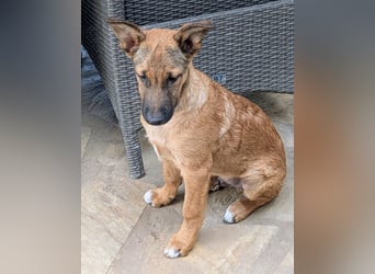 Kleiner Claude wartet auf seine Familie