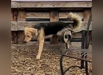 SIMONE möchte endlich in ihrem Zuhause ankommen