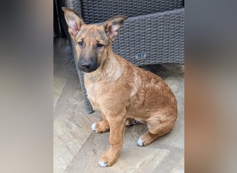 Kleiner Claude wartet auf seine Familie