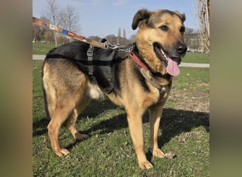 OSCAR-dein Kumpel mit Teddy-Charme