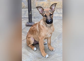 Kleiner Claude wartet auf seine Familie