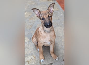 Kleiner Claude wartet auf seine Familie