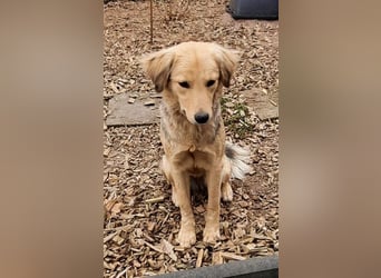 SIMONE möchte endlich in Ihrem Zuhause ankommen