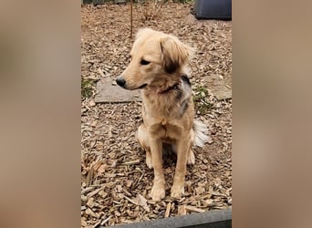 SIMONE möchte endlich in ihrem Zuhause ankommen