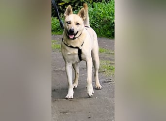 Thor möchte dein Herz im Sturm erobern