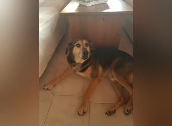 Warum sieht mich denn niemand? 