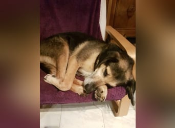 Warum sieht mich denn niemand? 