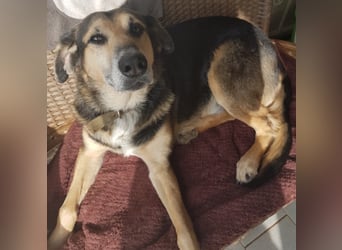 Warum sieht mich denn niemand? 