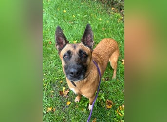 Tessa ❤️ liebe Hündin + großes Herz