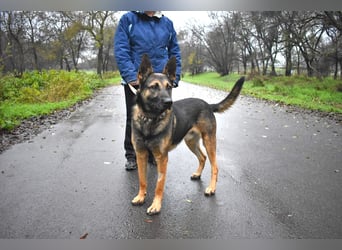 menschenbezogener Joker