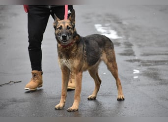 menschenbezogener Joker