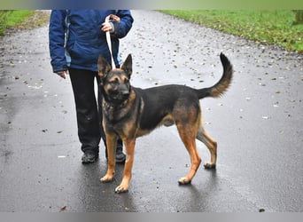 menschenbezogener Joker