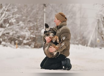 Hübsche Leyla sucht ihre Familie
