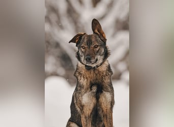 Hübsche Leyla sucht ihre Familie