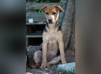 Lea -  Wenn Du mich holst, hab ich Dich lieb