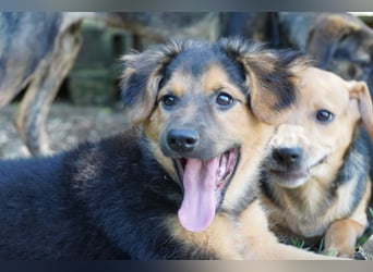 Leonilde -  Wenn Du mich holst, hab ich Dich lieb