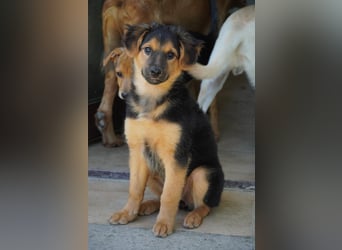Leonilde -  Wenn Du mich holst, hab ich Dich lieb