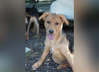 Leda -  Wenn Du mich holst, hab ich Dich lieb