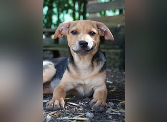 Lea -  Wenn Du mich holst, hab ich Dich lieb