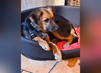 Leonilde -  Wenn Du mich holst, hab ich Dich lieb