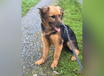 Leonilde -  Wenn Du mich holst, hab ich Dich lieb