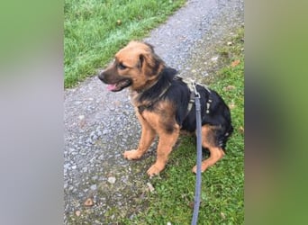 Leonilde -  Wenn Du mich holst, hab ich Dich lieb