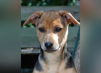 Lea -  Wenn Du mich holst, hab ich Dich lieb