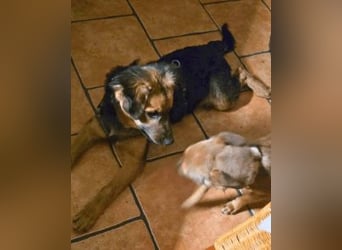 Leonilde -  Wenn Du mich holst, hab ich Dich lieb