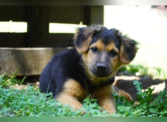 Leonilde -  Wenn Du mich holst, hab ich Dich lieb