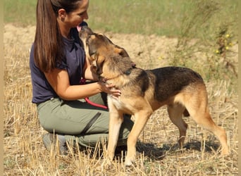Aki - Verloren, gerettet, verlassen...