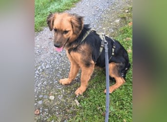 Leonilde -  Wenn Du mich holst, hab ich Dich lieb