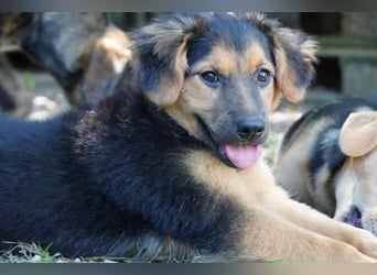 Leonilde -  Wenn Du mich holst, hab ich Dich lieb