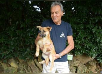 Briarose - Ein bisschen Hundekinderelternwahnsinn ?