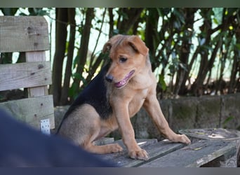 Leda -  Wenn Du mich holst, hab ich Dich lieb