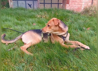 Lea -  Wenn Du mich holst, hab ich Dich lieb