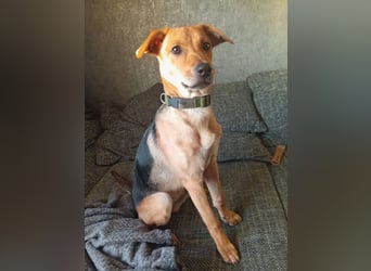 Lea -  Wenn Du mich holst, hab ich Dich lieb