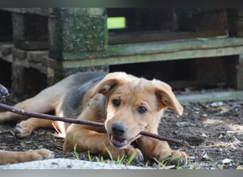 Leda -  Wenn Du mich holst, hab ich Dich lieb