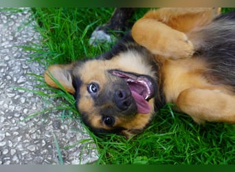 Leonilde -  Wenn Du mich holst, hab ich Dich lieb