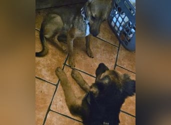 Leonilde -  Wenn Du mich holst, hab ich Dich lieb