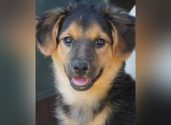 Leonilde -  Wenn Du mich holst, hab ich Dich lieb