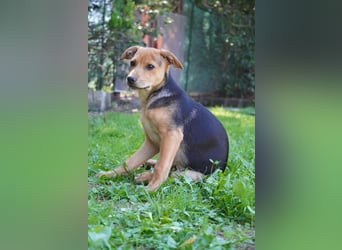 Lea -  Wenn Du mich holst, hab ich Dich lieb