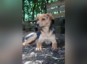 Lea -  Wenn Du mich holst, hab ich Dich lieb